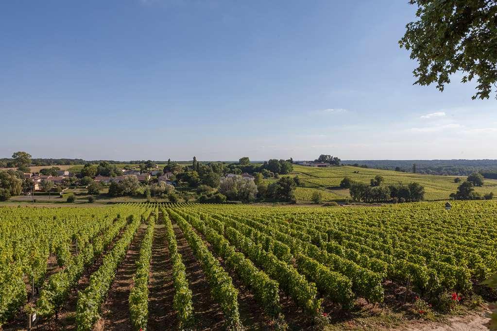 Chateau D'Arche, Grand Cru Classe De Sauternes Faciliteter billede