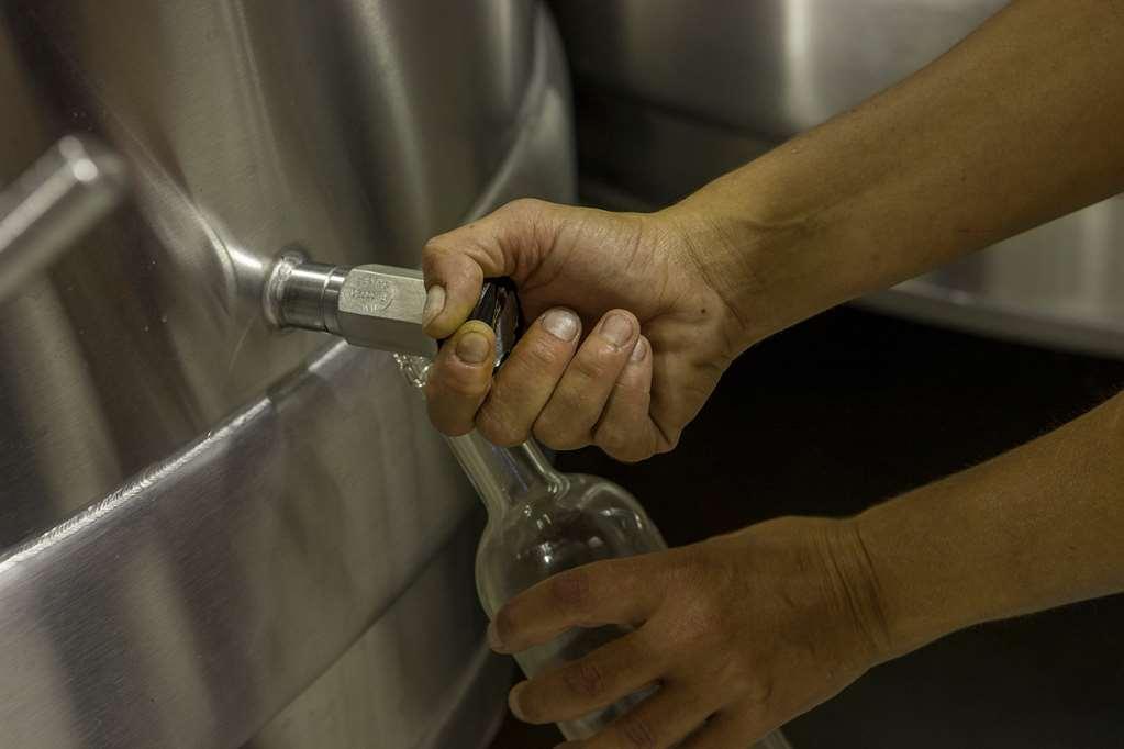 Chateau D'Arche, Grand Cru Classe De Sauternes Faciliteter billede