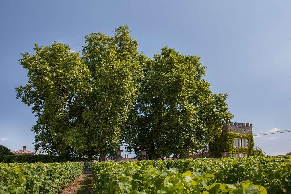 Chateau D'Arche, Grand Cru Classe De Sauternes Faciliteter billede