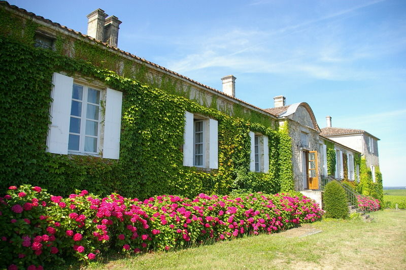 Chateau D'Arche, Grand Cru Classe De Sauternes Eksteriør billede
