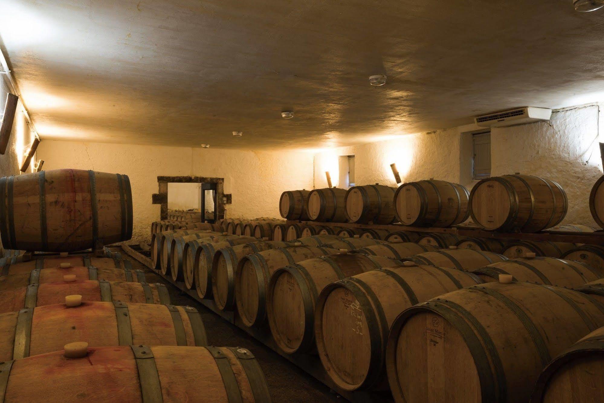 Chateau D'Arche, Grand Cru Classe De Sauternes Eksteriør billede