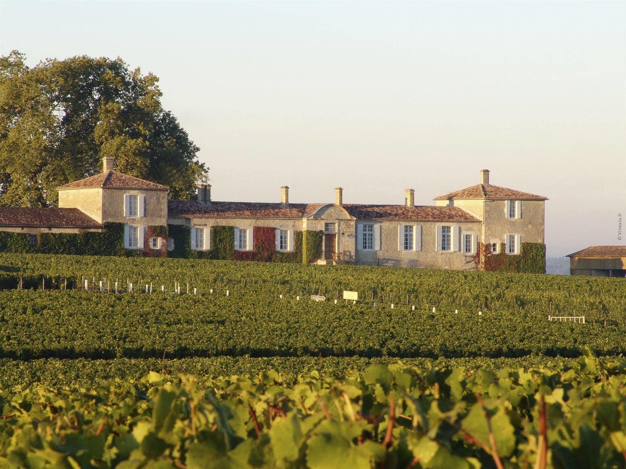 Chateau D'Arche, Grand Cru Classe De Sauternes Eksteriør billede